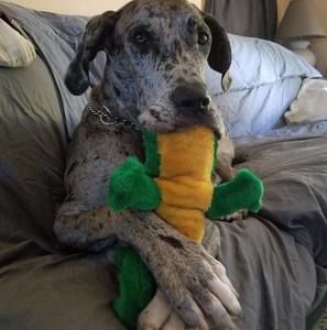 Meet your Posher, Deborah